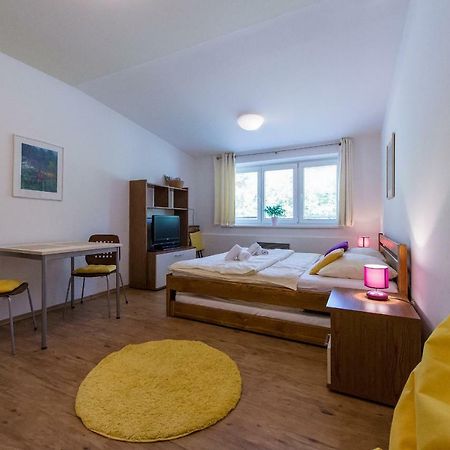 Apartman Lipno 20 Lipno nad Vltavou Zewnętrze zdjęcie